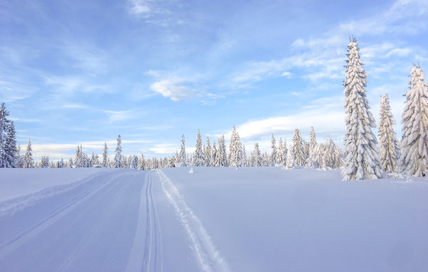 Domy wakacyjne - Sjusjøen , Norwegia - N31857 901