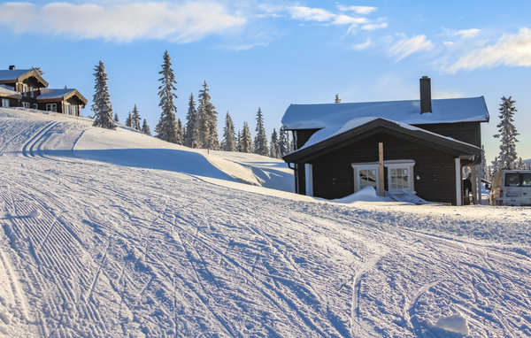 Domy wakacyjne - Sjusjøen , Norwegia - N31858 101