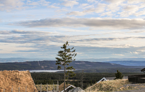 Ferienhaus - Sjusjøen , Norwegen - N31858 2