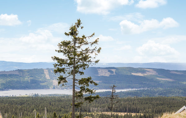 Domy wakacyjne - Sjusjøen , Norwegia - N31858 201