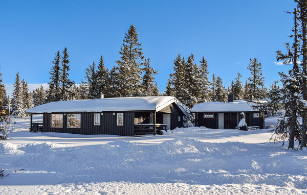 Semesterhus - Sjusjøen , Norge - N31870 81
