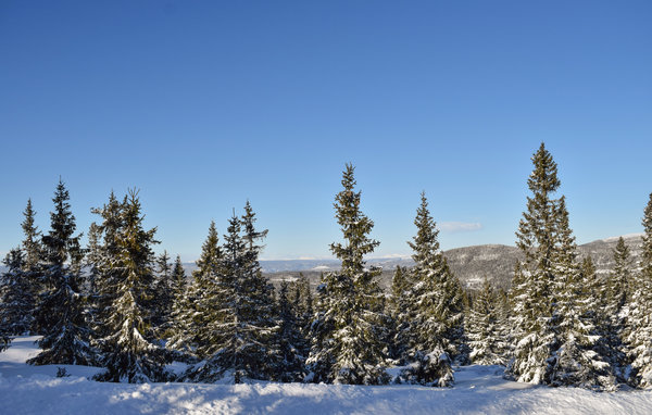Semesterhus - Sjusjøen , Norge - N31870 101