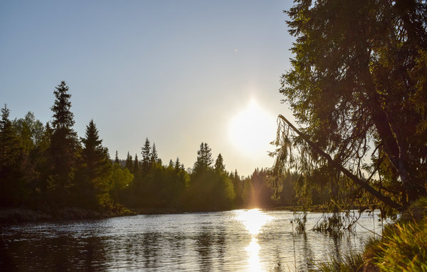 Holiday Home - Sjusjøen , Norway - N31871 6