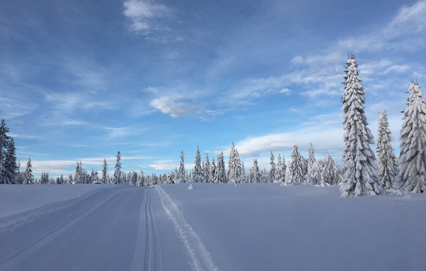 Holiday Home - Sjusjøen , Norway - N31871 7