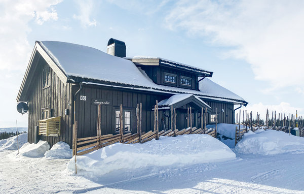 Feriehuse - Sjusjøen , Norge - N31871 1