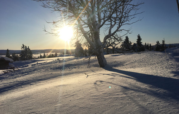 Holiday Home - Sjusjøen , Norway - N31871 101