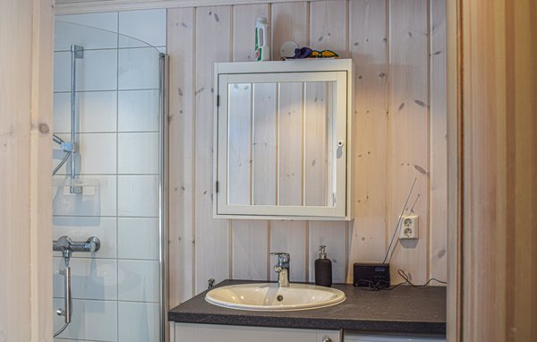 Holiday Home - Sjusjøen , Norway - N31872 701