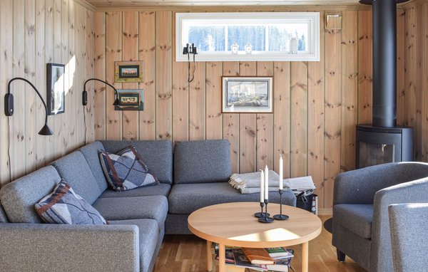 Holiday Home - Sjusjøen , Norway - N31872 4