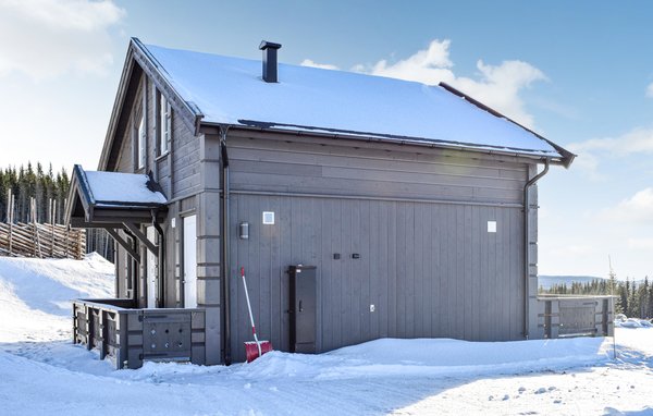Holiday Home - Sjusjøen , Norway - N31872 81