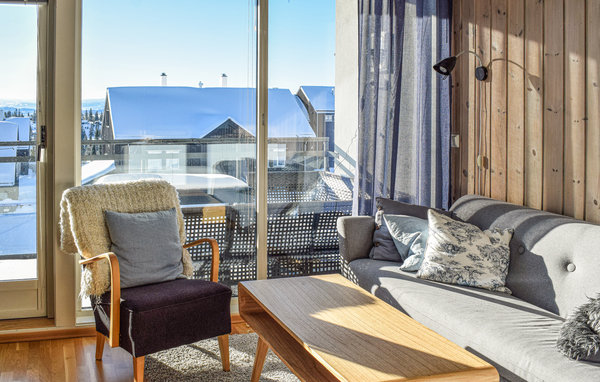 Ferienwohnung - Sjusjøen , Norwegen - N31876 1