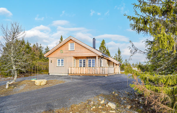 Ferienhaus - Sjusjøen , Norwegen - N31878 1