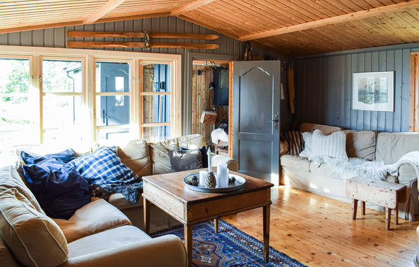 Holiday Home - Sjusjøen , Norway - N31882 2