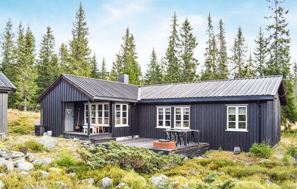 Feriehus - Sjusjøen , Norge - N31882 1