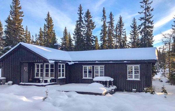 Holiday Home - Sjusjøen , Norway - N31882 1