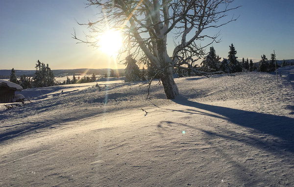 Appartamento - Sjusjøen , Norvegia - N31884 9