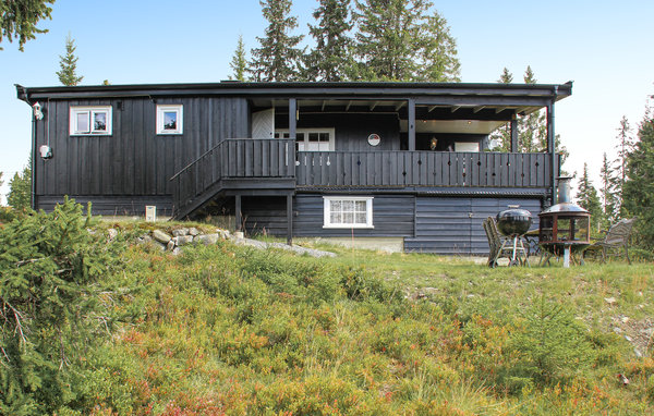 Ferienhaus - Sjusjøen , Norwegen - N31902 1