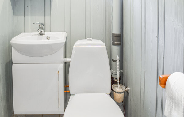 Ferienhaus - Sjusjøen , Norwegen - N31905 703