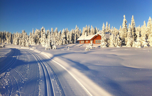 Vacation home Beautiful home in Sjusjoen