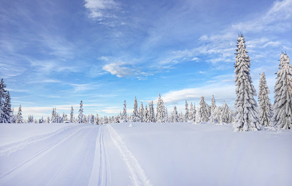 Vacation home Beautiful home in Sjusjoen