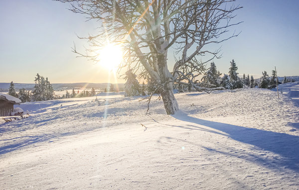 Vacation home Beautiful home in Sjusjoen