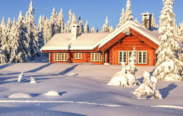 Vacation home Beautiful home in Sjusjoen