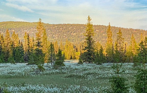 Vacation home Beautiful home in Sjusjoen