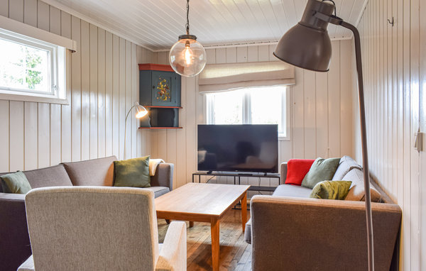 Vakantiehuis - Sjusjøen , Noorwegen - N31912 3