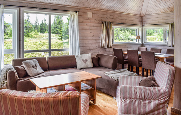 Holiday Home - Sjusjøen , Norway - N31916 2