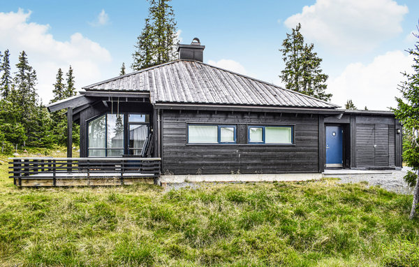 Holiday Home - Sjusjøen , Norway - N31916 1