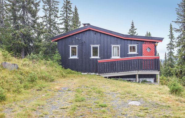 Ferienhaus - Sjusjøen , Norwegen - N31923 1