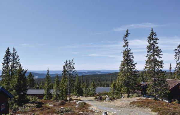 Ferienhaus - Sjusjøen , Norwegen - N31929 6