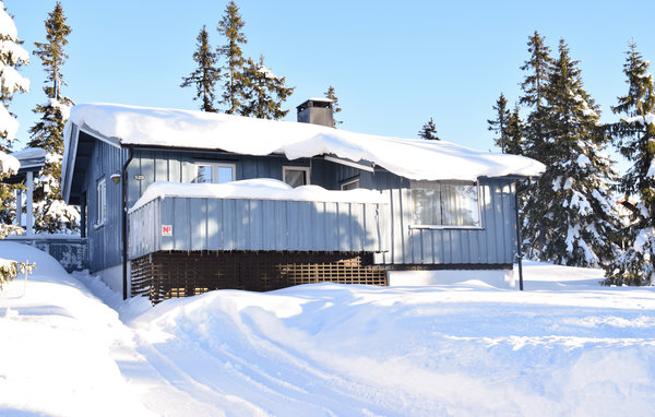 Ferienhaus - Sjusjøen , Norwegen - N31929 81