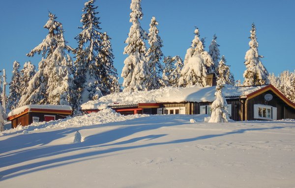 Ferienhaus - Sjusjøen , Norwegen - N31937 1