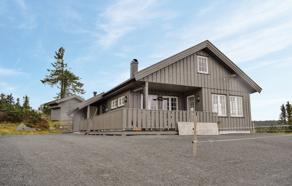 Ferienhaus - Sjusjøen , Norwegen - N31940 1