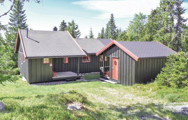 Ferienhaus - Sjusjøen , Norwegen - N31944 1