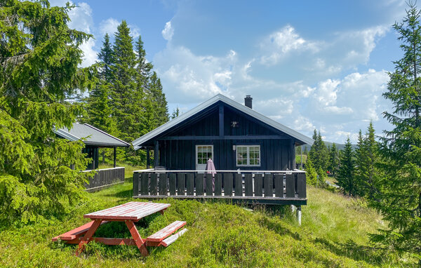 Ferienhaus - Sjusjøen , Norwegen - N31944 82