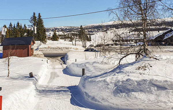 Holiday Home - Sjusjøen , Norway - N31956 201