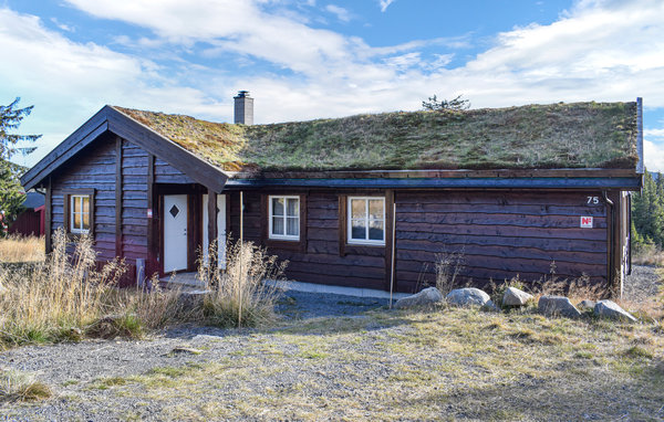 Ferienhaus Sjusjøen Pihl 185