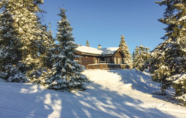 Ferienhaus Sjusjøen Pihl 185