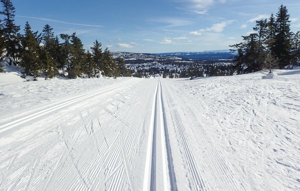Feriehus - Sjusjøen , Norge - N31973 903