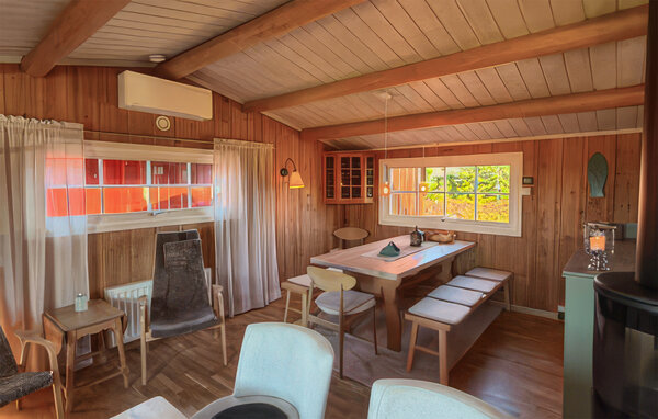Ferienhaus - Sjusjøen , Norwegen - N31988 5