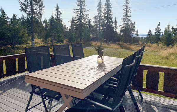 Holiday Home - Sjusjøen , Norway - N31988 102