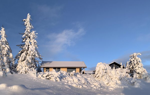 Ferienhaus - Sjusjøen , Norwegen - N31989 1