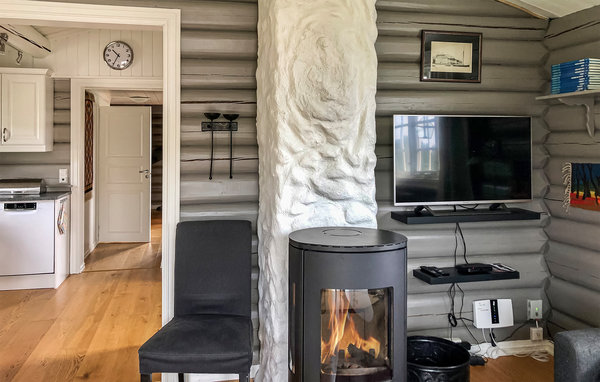 Holiday Home - Sjusjøen , Norway - N31993 301