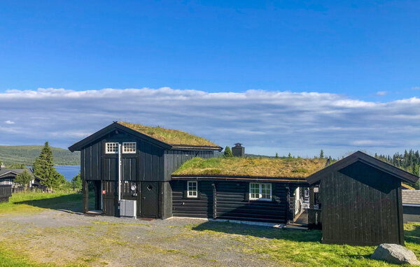 Ferienhaus - Sjusjøen , Norwegen - N31993 1