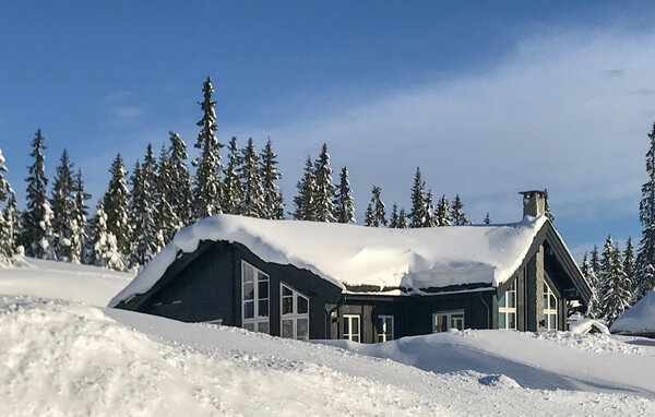 Casa vacanze - Sjusjøen , Norvegia - N31996 904