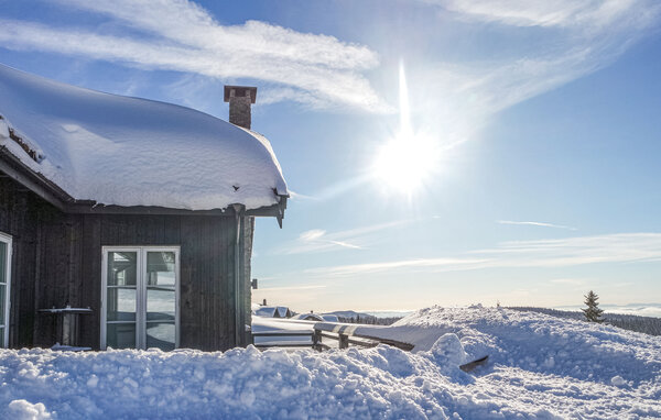 Casa vacanze - Sjusjøen , Norvegia - N31996 906