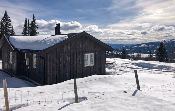 Ferienhaus - Etnedal , Norwegen - N32039 801