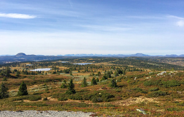 Ferienhaus - Etnedal , Norwegen - N32039 901