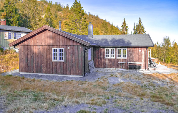 Vakantiehuis - Etnedal , Noorwegen - N32039 2